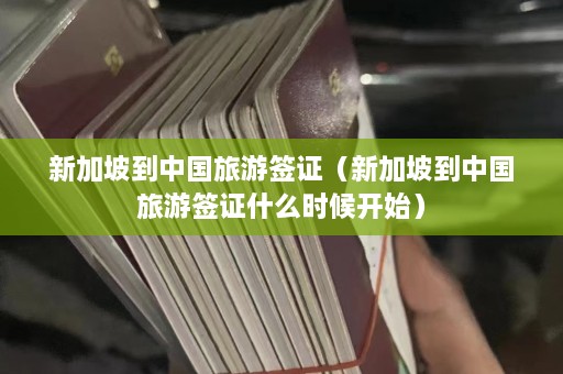 新加坡到中国旅游签证（新加坡到中国旅游签证什么时候开始）  第1张