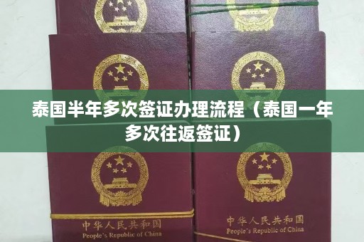 泰国半年多次签证办理流程（泰国一年多次往返签证）  第1张