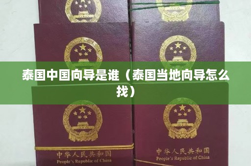 泰国中国向导是谁（泰国当地向导怎么找）  第1张