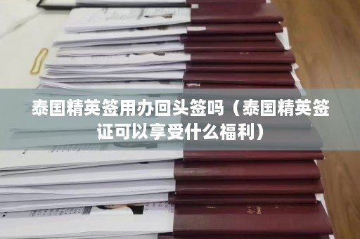 泰国精英签用办回头签吗（泰国精英签证可以享受什么福利）  第1张