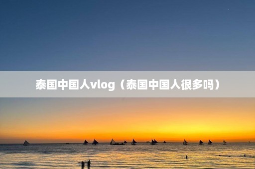 泰国中国人vlog（泰国中国人很多吗）