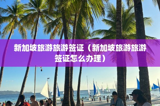 新加坡旅游旅游签证（新加坡旅游旅游签证怎么办理）  第1张