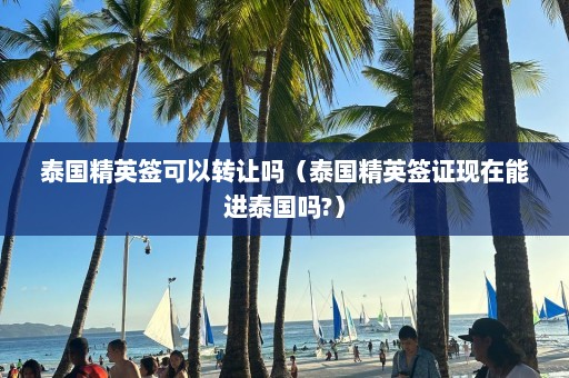 泰国精英签可以转让吗（泰国精英签证现在能进泰国吗?）