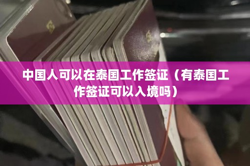 中国人可以在泰国工作签证（有泰国工作签证可以入境吗）  第1张