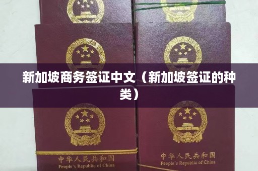 新加坡商务签证中文（新加坡签证的种类）  第1张