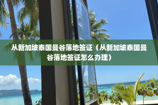 从新加坡泰国曼谷落地签证（从新加坡泰国曼谷落地签证怎么办理）