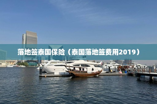 落地签泰国保险（泰国落地签费用2019）