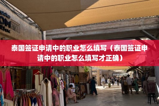 泰国签证申请中的职业怎么填写（泰国签证申请中的职业怎么填写才正确）