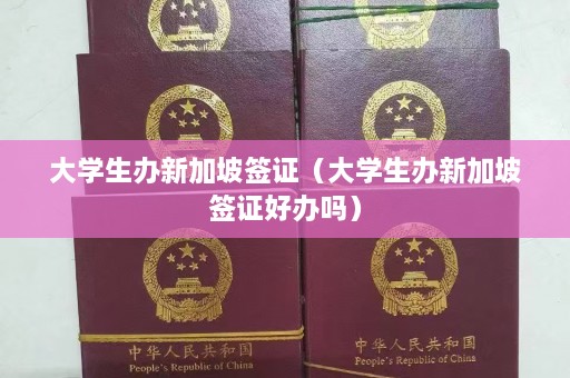 大学生办新加坡签证（大学生办新加坡签证好办吗）  第1张