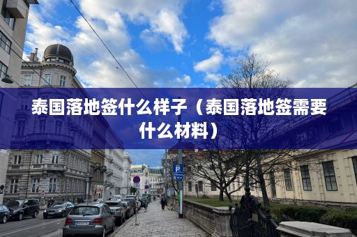 泰国落地签什么样子（泰国落地签需要什么材料）