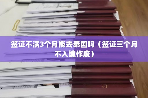 签证不满3个月能去泰国吗（签证三个月不入境作废）  第1张