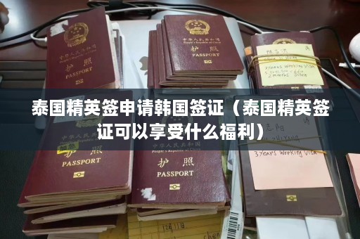 泰国精英签申请韩国签证（泰国精英签证可以享受什么福利）