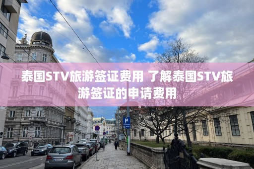 泰国STV旅游签证费用 了解泰国STV旅游签证的申请费用  第1张