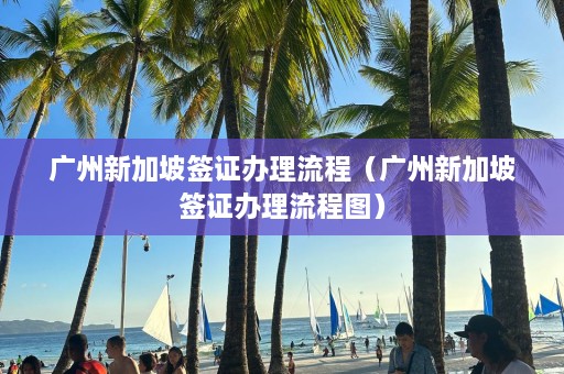 广州新加坡签证办理流程（广州新加坡签证办理流程图）  第1张