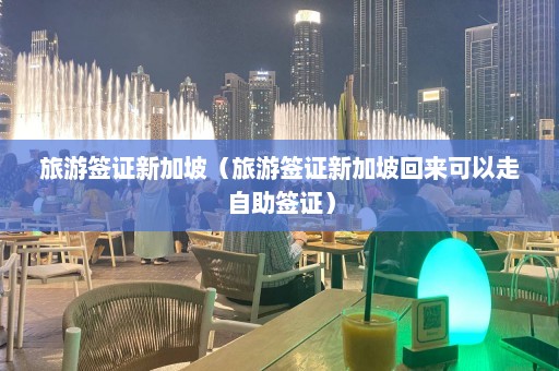 旅游签证新加坡（旅游签证新加坡回来可以走自助签证）