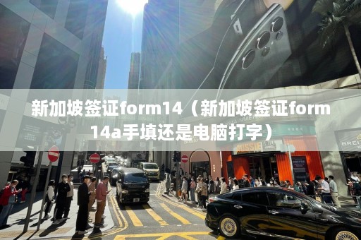 新加坡签证form14（新加坡签证form14a手填还是电脑打字）  第1张