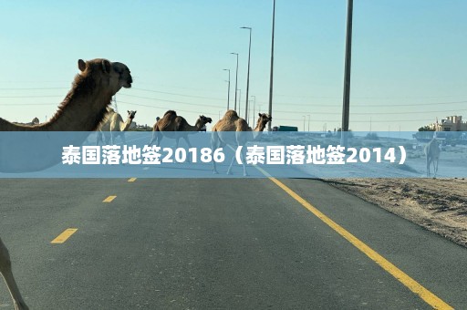 泰国落地签20186（泰国落地签2014）