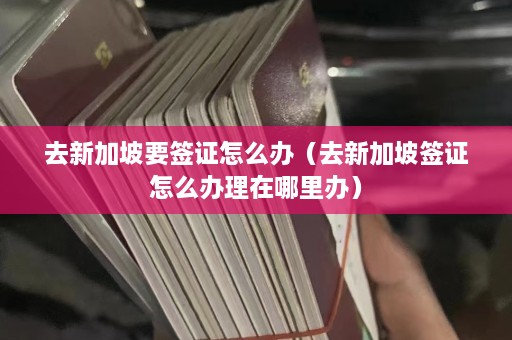 去新加坡要签证怎么办（去新加坡签证怎么办理在哪里办）  第1张