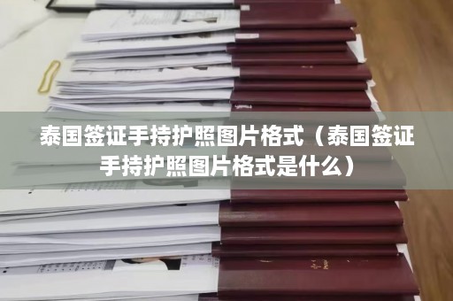 泰国签证手持护照图片格式（泰国签证手持护照图片格式是什么）