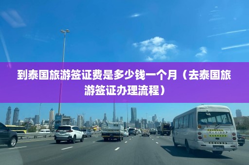 到泰国旅游签证费是多少钱一个月（去泰国旅游签证办理流程）