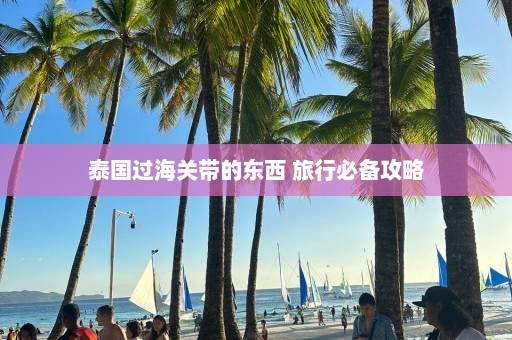 泰国过海关带的东西 旅行必备攻略