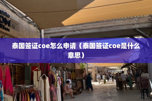 泰国签证coe怎么申请（泰国签证coe是什么意思）