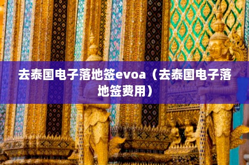 去泰国电子落地签evoa（去泰国电子落地签费用）  第1张