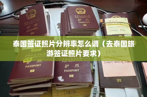 泰国签证照片分辨率怎么调（去泰国旅游签证照片要求）  第1张