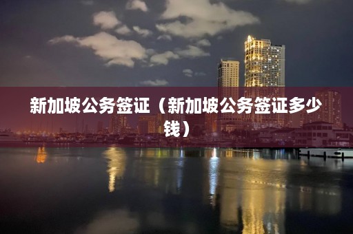 新加坡公务签证（新加坡公务签证多少钱）  第1张