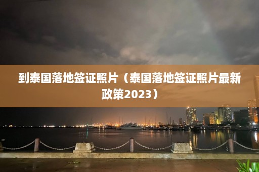 到泰国落地签证照片（泰国落地签证照片最新政策2023）