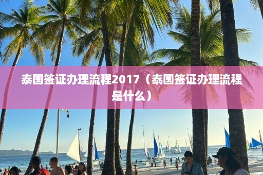 泰国签证办理流程2017（泰国签证办理流程是什么）