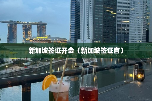 新加坡签证开会（新加坡签证官）