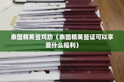 泰国精英签鸡肋（泰国精英签证可以享受什么福利）  第1张