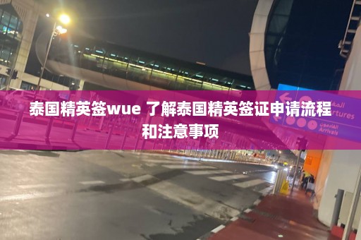 泰国精英签wue 了解泰国精英签证申请流程和注意事项