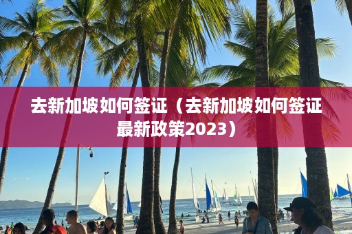 去新加坡如何签证（去新加坡如何签证最新政策2023）  第1张