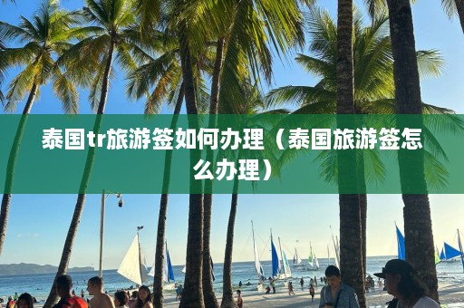 泰国tr旅游签如何办理（泰国旅游签怎么办理）  第1张