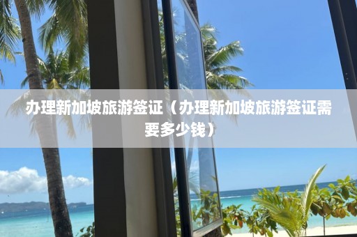 办理新加坡旅游签证（办理新加坡旅游签证需要多少钱）