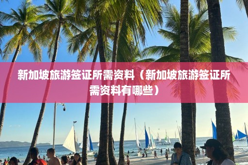 新加坡旅游签证所需资料（新加坡旅游签证所需资料有哪些）