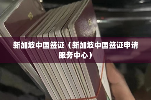 新加坡中国签证（新加坡中国签证申请服务中心）