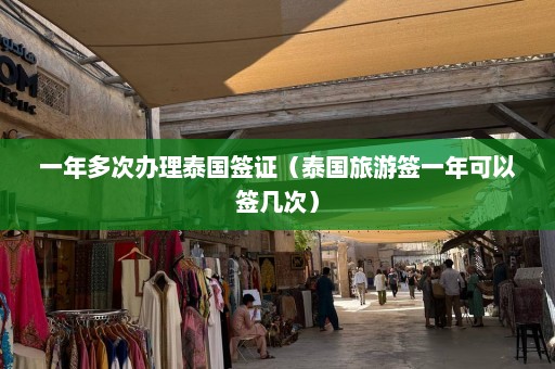 一年多次办理泰国签证（泰国旅游签一年可以签几次）