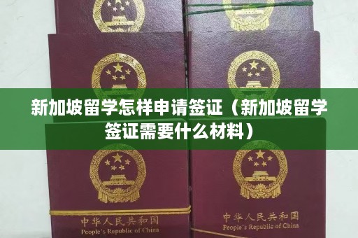 新加坡留学怎样申请签证（新加坡留学签证需要什么材料）  第1张