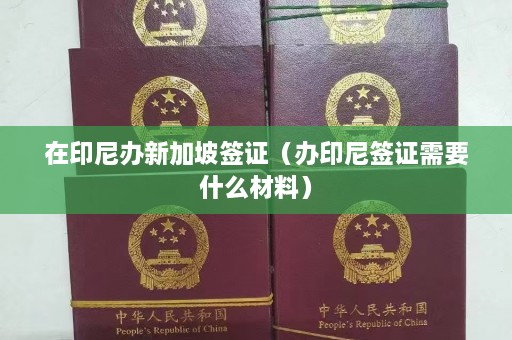 在印尼办新加坡签证（办印尼签证需要什么材料）  第1张