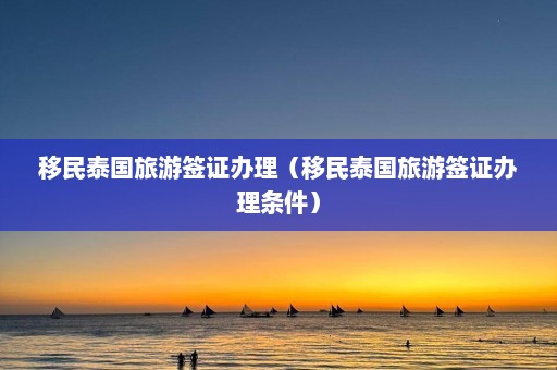 移民泰国旅游签证办理（移民泰国旅游签证办理条件）