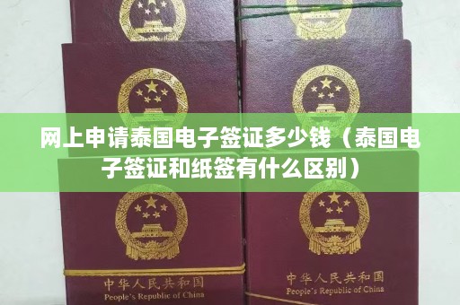 网上申请泰国电子签证多少钱（泰国电子签证和纸签有什么区别）