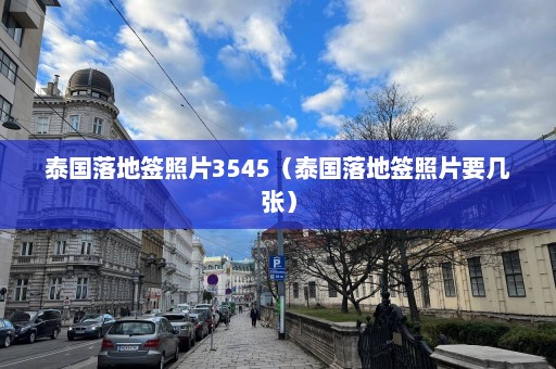 泰国落地签照片3545（泰国落地签照片要几张）