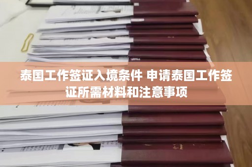 泰国工作签证入境条件 申请泰国工作签证所需材料和注意事项  第1张