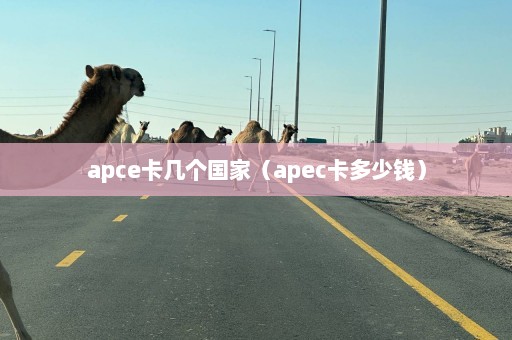 apce卡几个国家（apec卡多少钱）