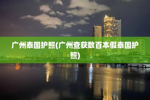 广州泰国护照(广州查获数百本假泰国护照)  第1张