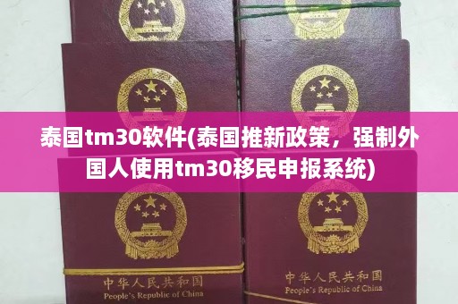 泰国tm30软件(泰国推新政策，强制外国人使用tm30移民申报系统)  第1张