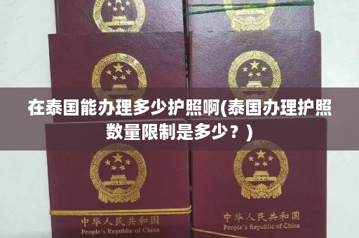 在泰国能办理多少护照啊(泰国办理护照数量限制是多少？)  第1张